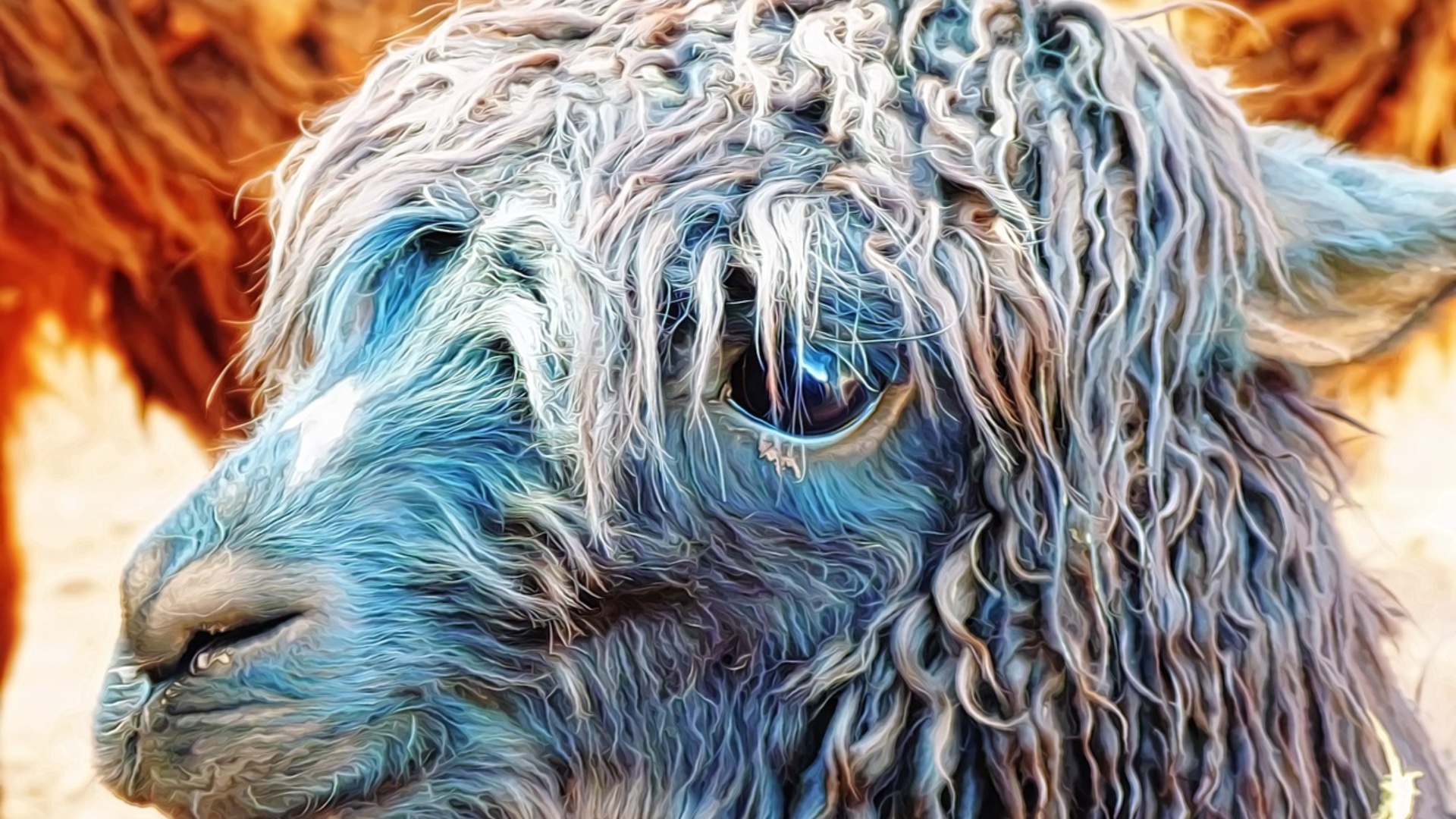 Alpaca 733492 1280