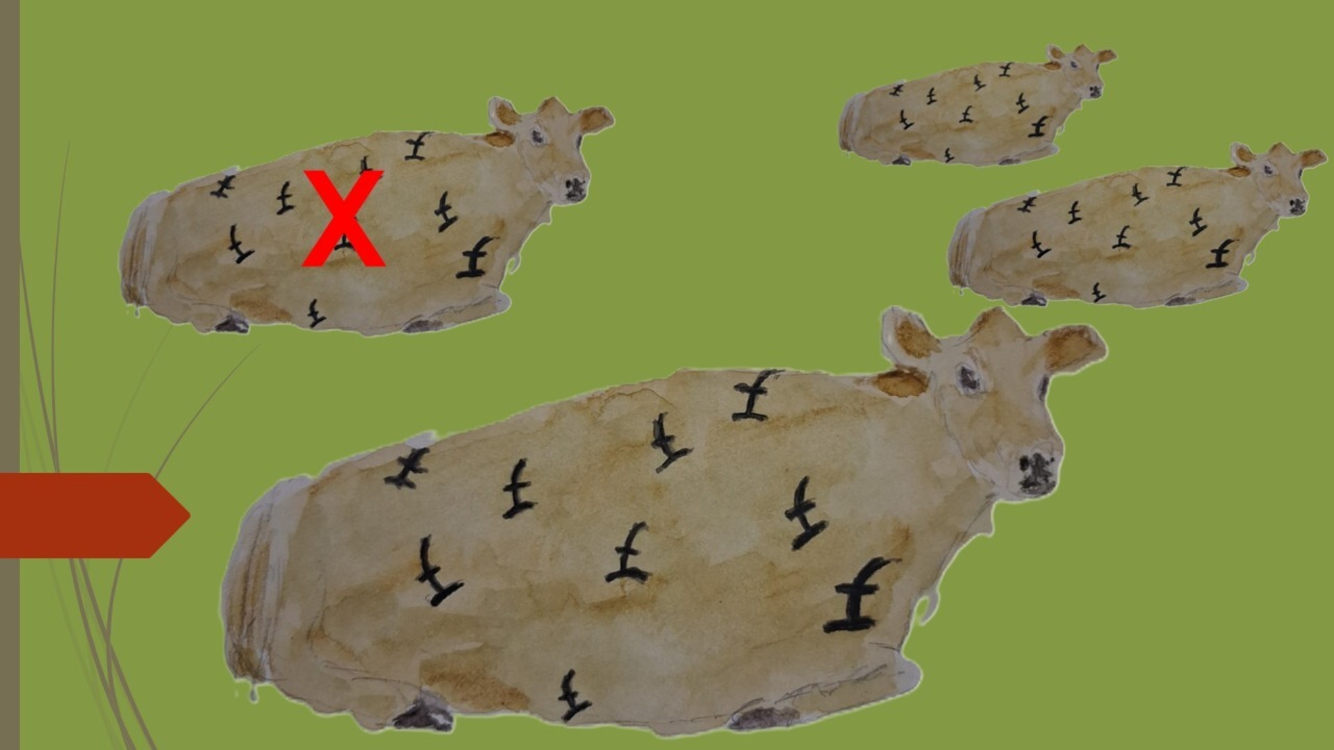 Cashcow field