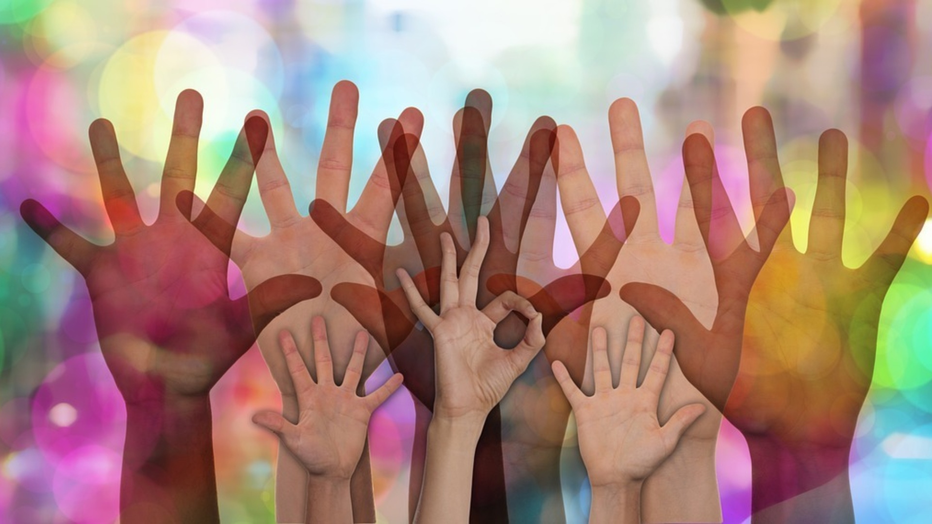 Volunteer hands