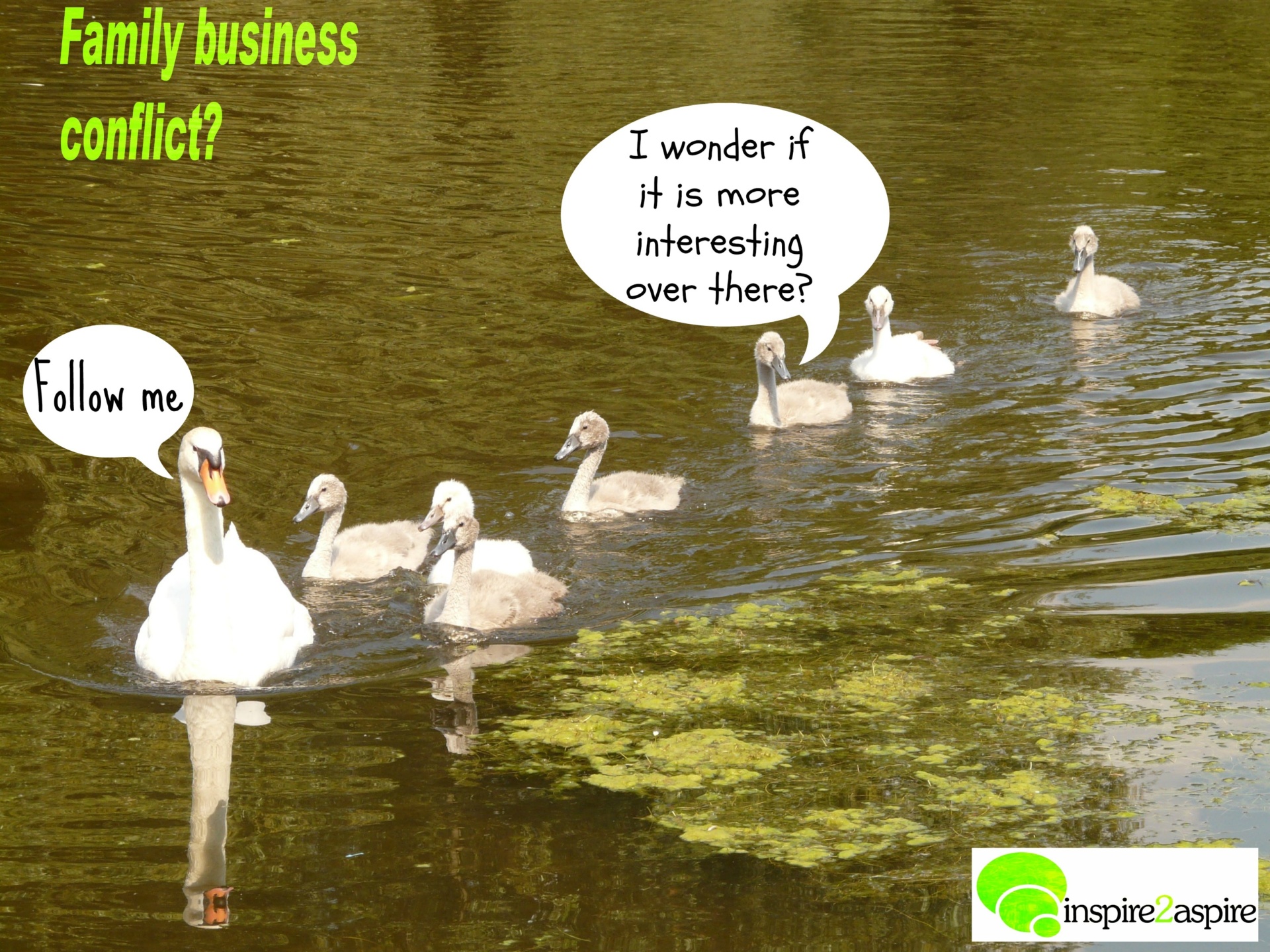 Family business conflict