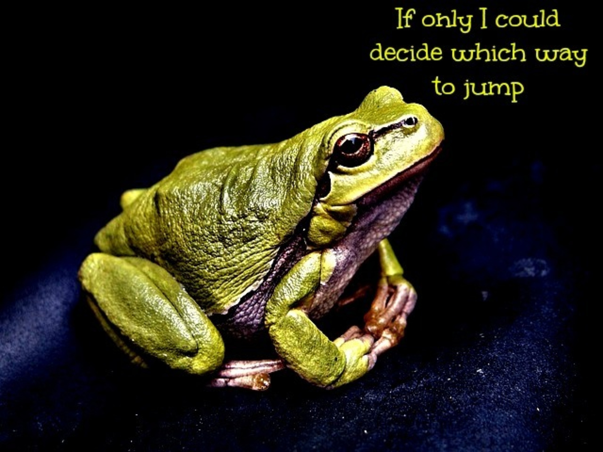 Frog switch