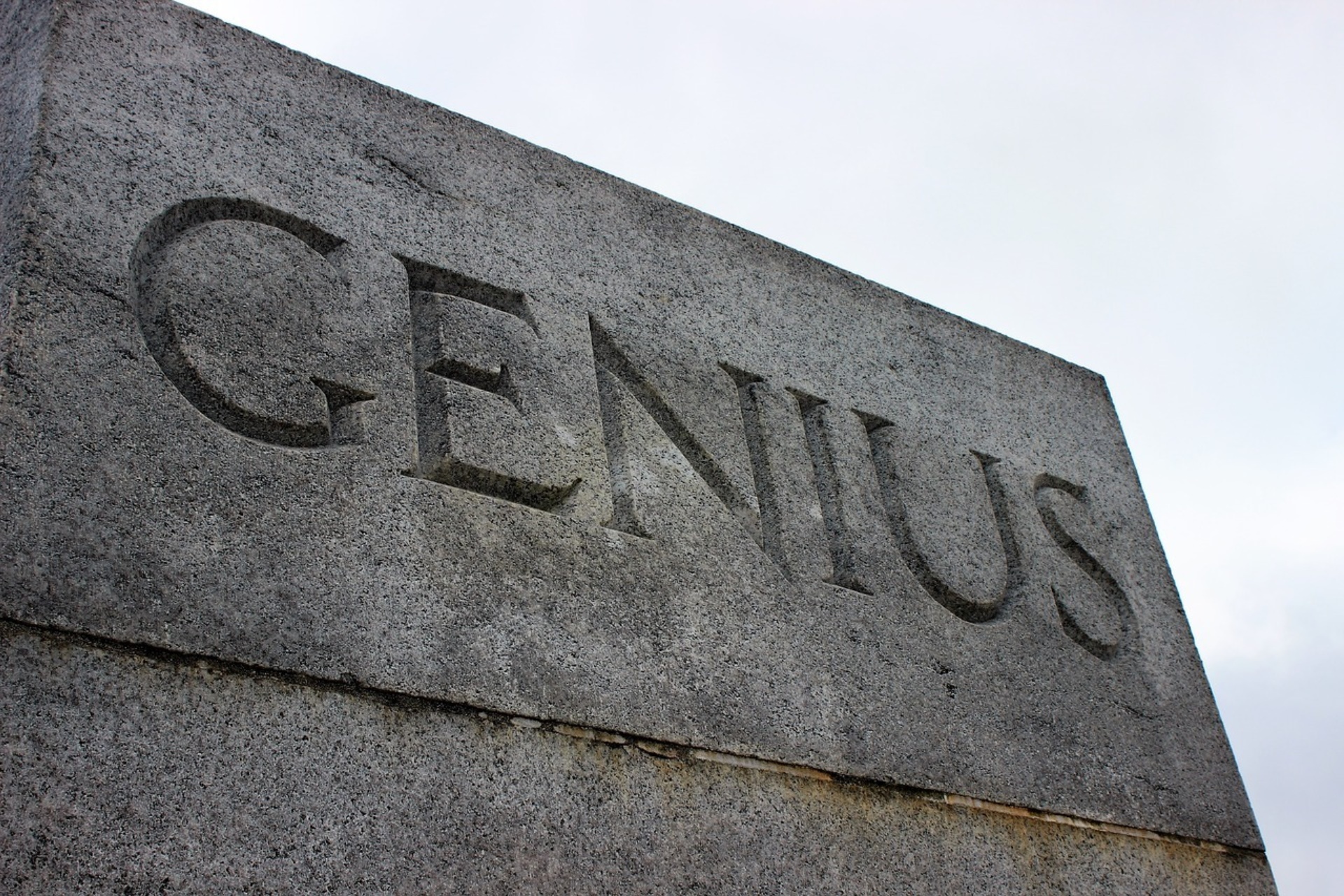 Genius